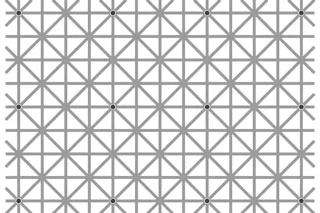 The 12 dots illusion by Jacques Ninio