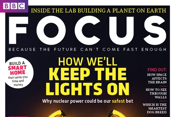 Focus cover 292 neon layouts