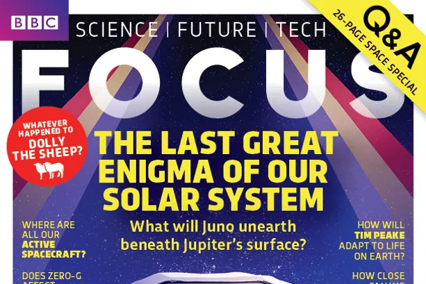 Focus cover 293 drone layout