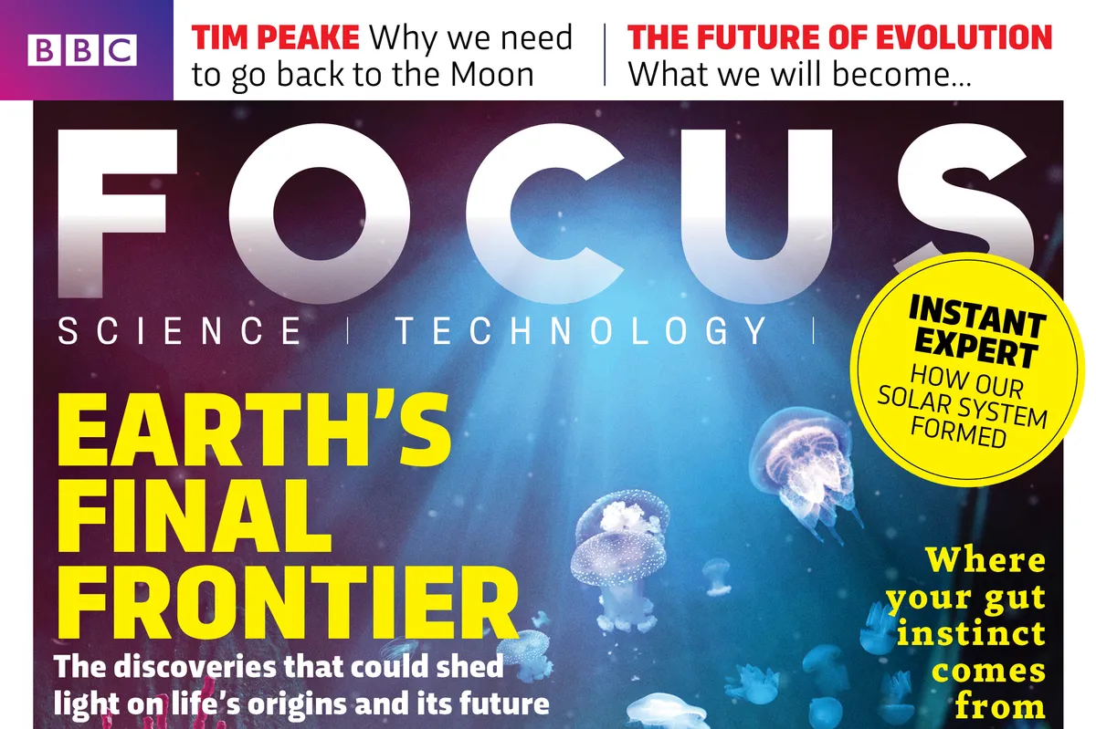Focus cover 302 COVER with yellow