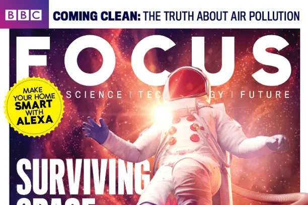 Focus cover 305 COVER