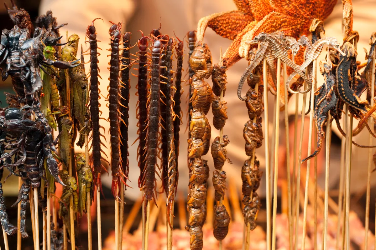 Various cooked insects thread on skewers in a market in Beijing, China © BJI/Blue Jean Images