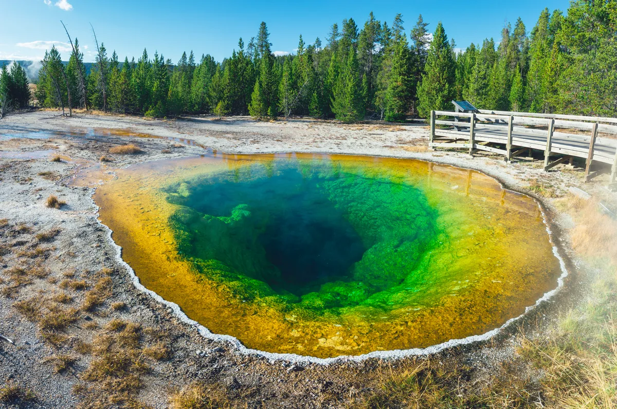 Morning Glory Pool, Yellowstone NP in Upper Geyser Basin, Yellowstone National Park © Elena Pueyo/Getty Images