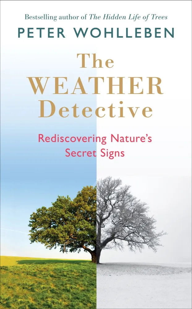The Weather Detective: Rediscovering Nature’s Secret Signs by Peter Wohlleben is out now (£12.99, Rider)