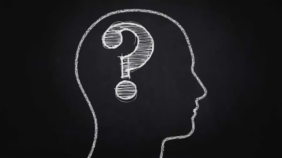Memory Embry How is a memory formed? - BBC Science Focus Magazine