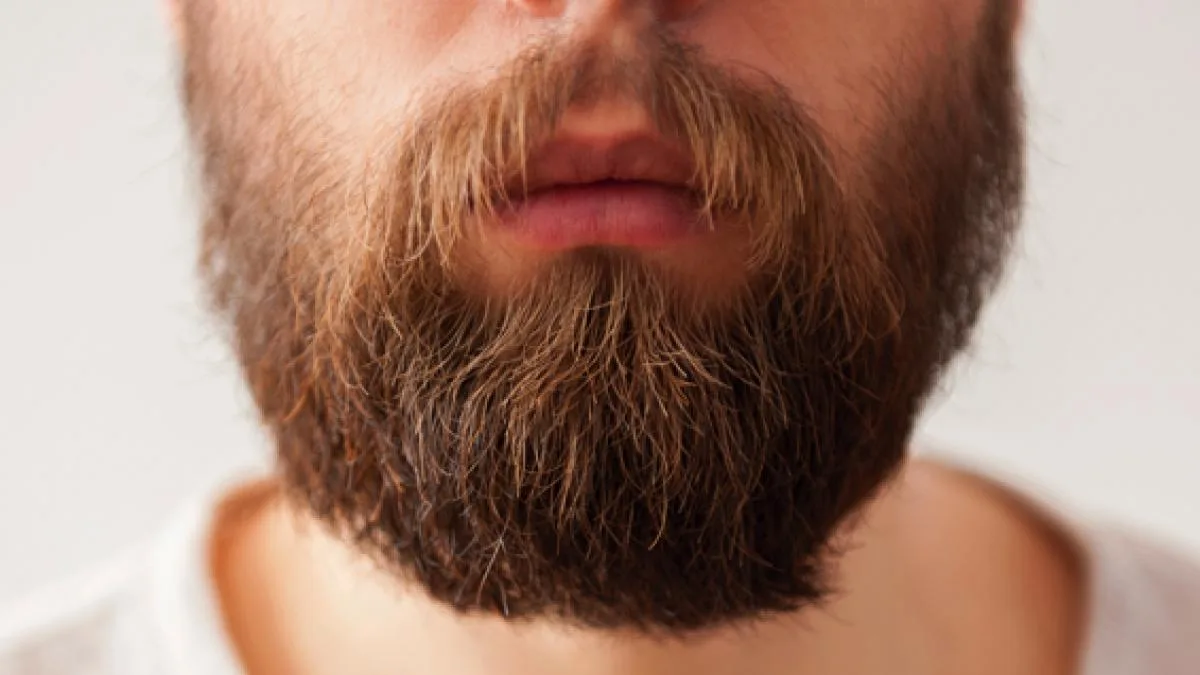 Is there an advantage to having a beard? - BBC Science Focus Magazine