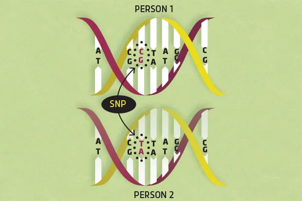 single-nucleotide-polymorphisms