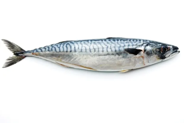 Top 10 most Vitamin D rich foods - salmon and mackerel