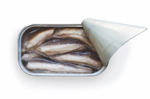 Top 10 most Vitamin D rich foods - tinned sardines