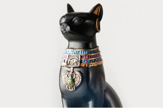 Myth #7: Domestic cats can be traced back to ancient Egypt