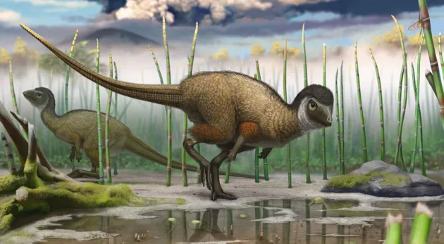 An artist's impression of the newly-discovered dinosaur (illustration: Andrey Atuchin)