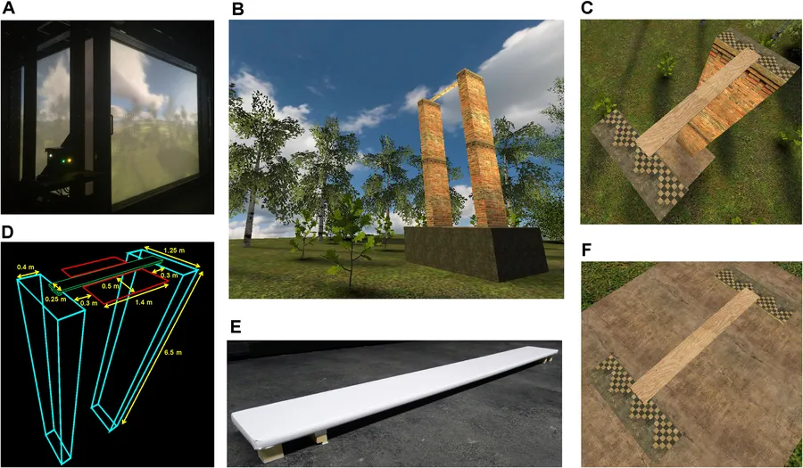 The experimental setup. (A) Outside view of the Cave Automatic Virtual Environment (CAVE) device during experimentation. (B) Third-person perspective on the forest glade and the two bridge piers with the plank. (C) First-person perspective in the height context. (D) Wireframe with specifications of the area (red) for which the time was determined that the head was bent beside the plank. (E) The vertically deflecting physical plank onto which the virtual plank was projected. (F) First-person perspective in the ground context. © Heliyon, Dobricki et al.