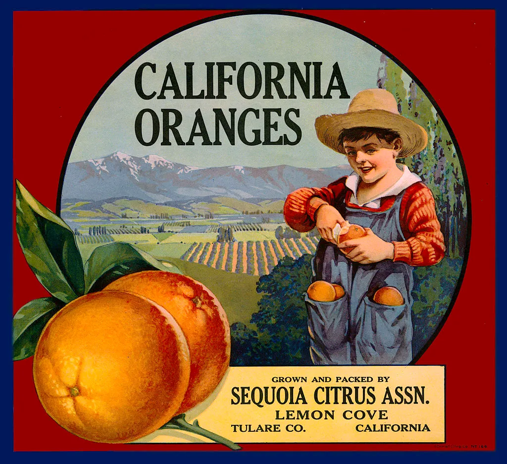 An orange crate label produced around 1910 in Los Angeles, California © Transcendental Graphics/Getty Images