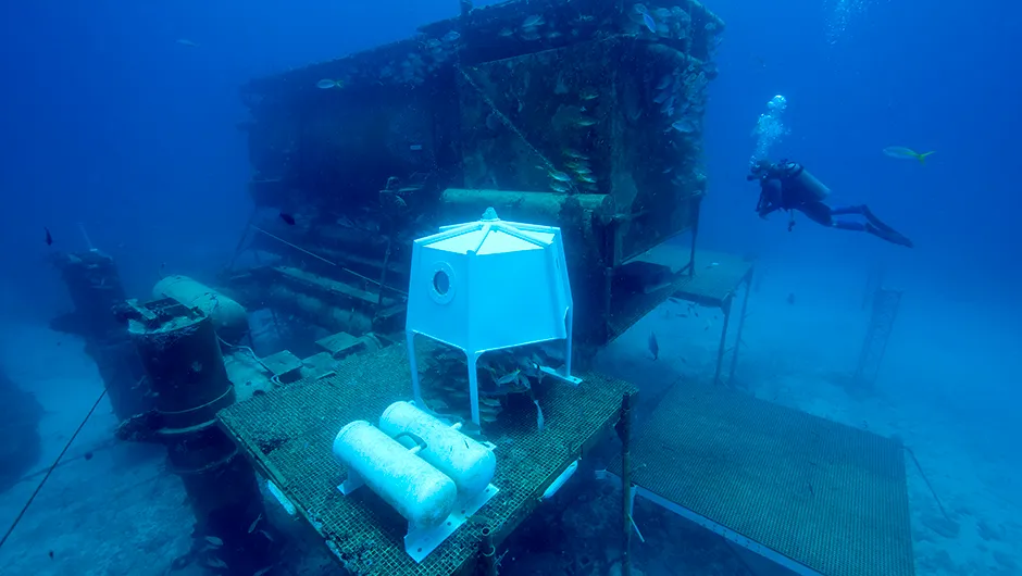 Dr. Ellen Prager, Chief Scientist, for NOAA's manned habitat, Aquarius, hovers near the manmade structure. The underwater habitat allows teams of divers and scientists to live underwater and to conduct a variety of experiments and research projects related to the coral reef environment. The manned habitat also functions as an artificial reef, allowing the attachment and growth of coral colonies and providing hiding places for various types of marine life, such as sponges, fish, and corals © Getty Images