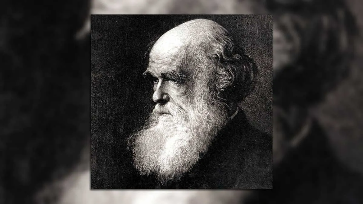 Carles Darwin popularised the term 'natural selection' © Getty Images