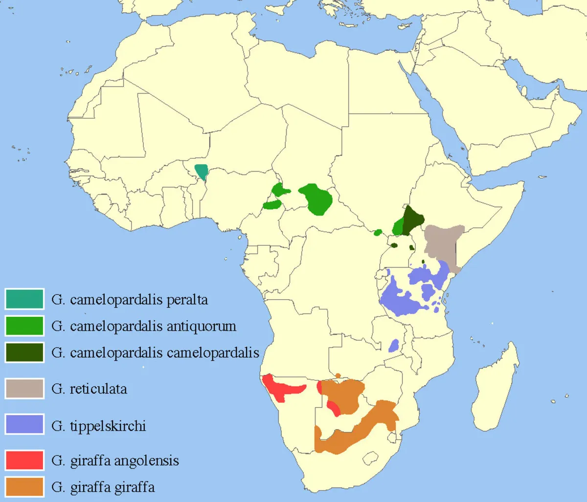 The current distribution of recognised giraffe species and subspecies. Narayanese at English Wikipedia