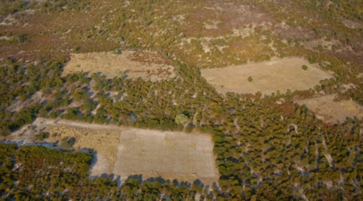 Woodland clearing for agriculture in Botswana’s Okavango Delta © Jeremy Hance