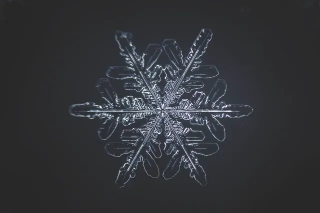Snowflakes are complicated, forming due to liquid water crystallising into ice, but they are not alive © Getty Images