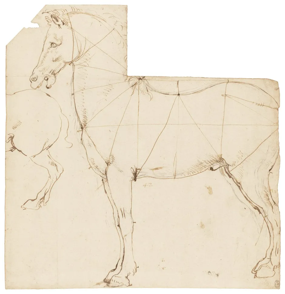 A horse with lines of proportion, c.1480 (Royal Collection Trust / © Her Majesty Queen Elizabeth II 2019)