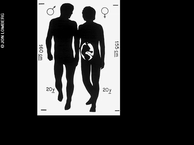 Diagram of male and female © Jon Lomberg