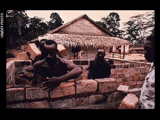 House construction (African) © UN/DPI Photo