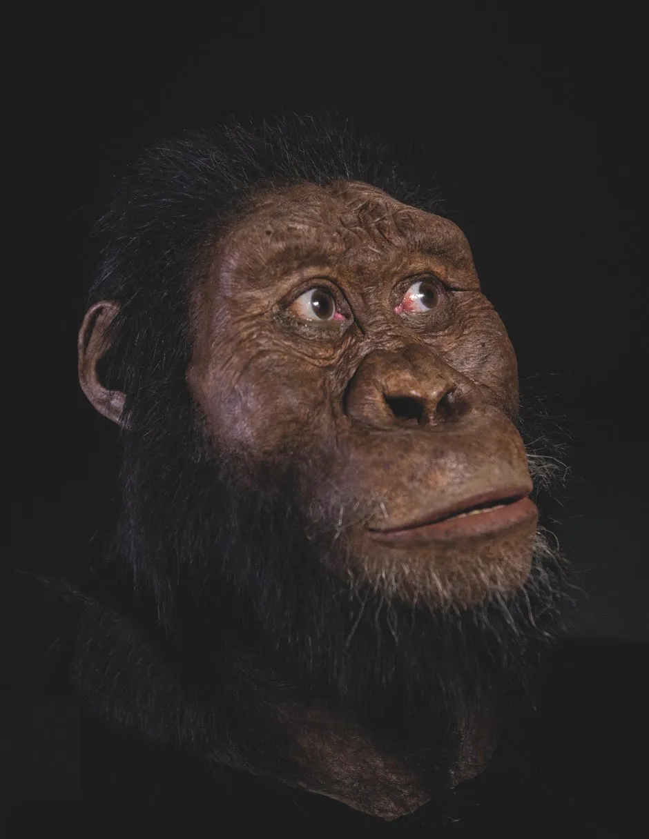Facial reconstruction of A. Anamensis © ESA