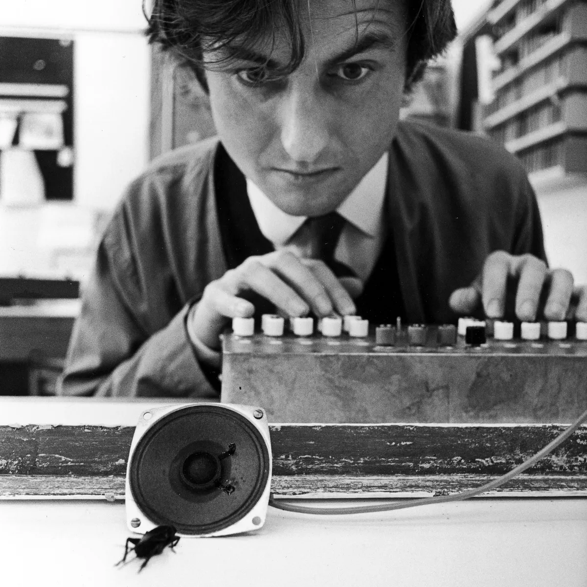 Dawkins at Oxford University in 1976 using computer-simulated mating calls to better understand how crickets chirp to one another © Getty Images