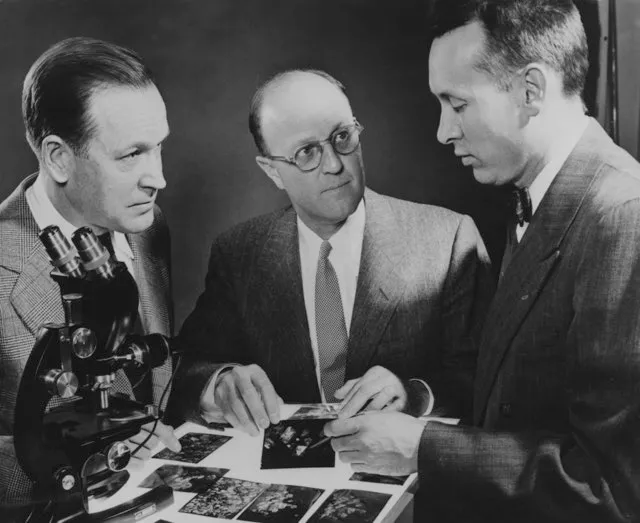 From left to right, Dr Herbert M. Strong, Dr Chauncey Guy Suits and Dr H. Tracy Hill examine photomicrographs of diamond crystals formed in a press at the GE Research Laboratories in Schenectady, New York, 1955 © Keystone/Hulton Archive/Getty Images