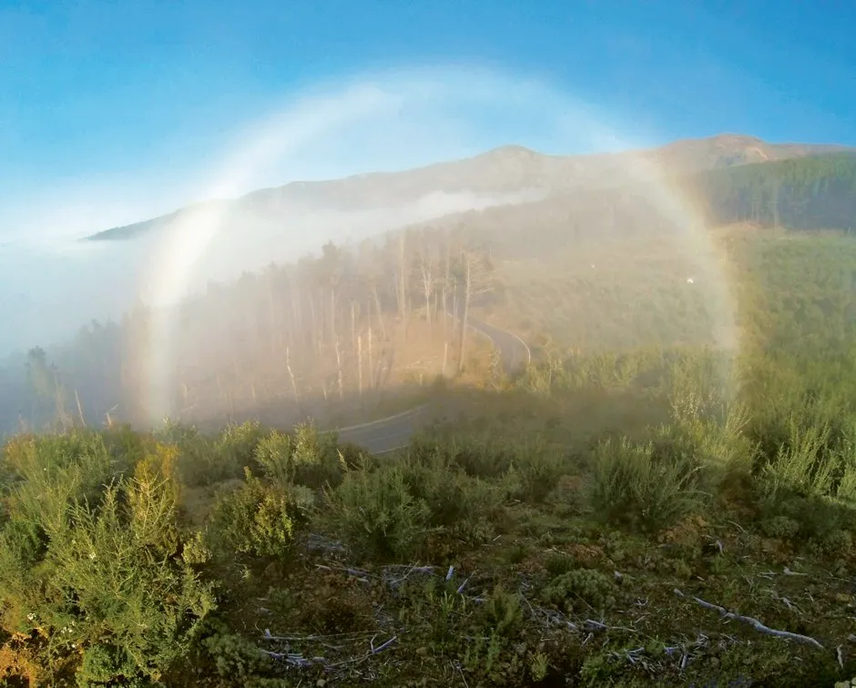 Fogbow, spotted by Emily Watson in Tenerife, Canary Islands © Emily Watson