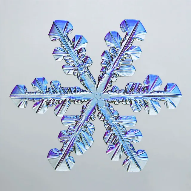 Snowflake © Caleb Foster