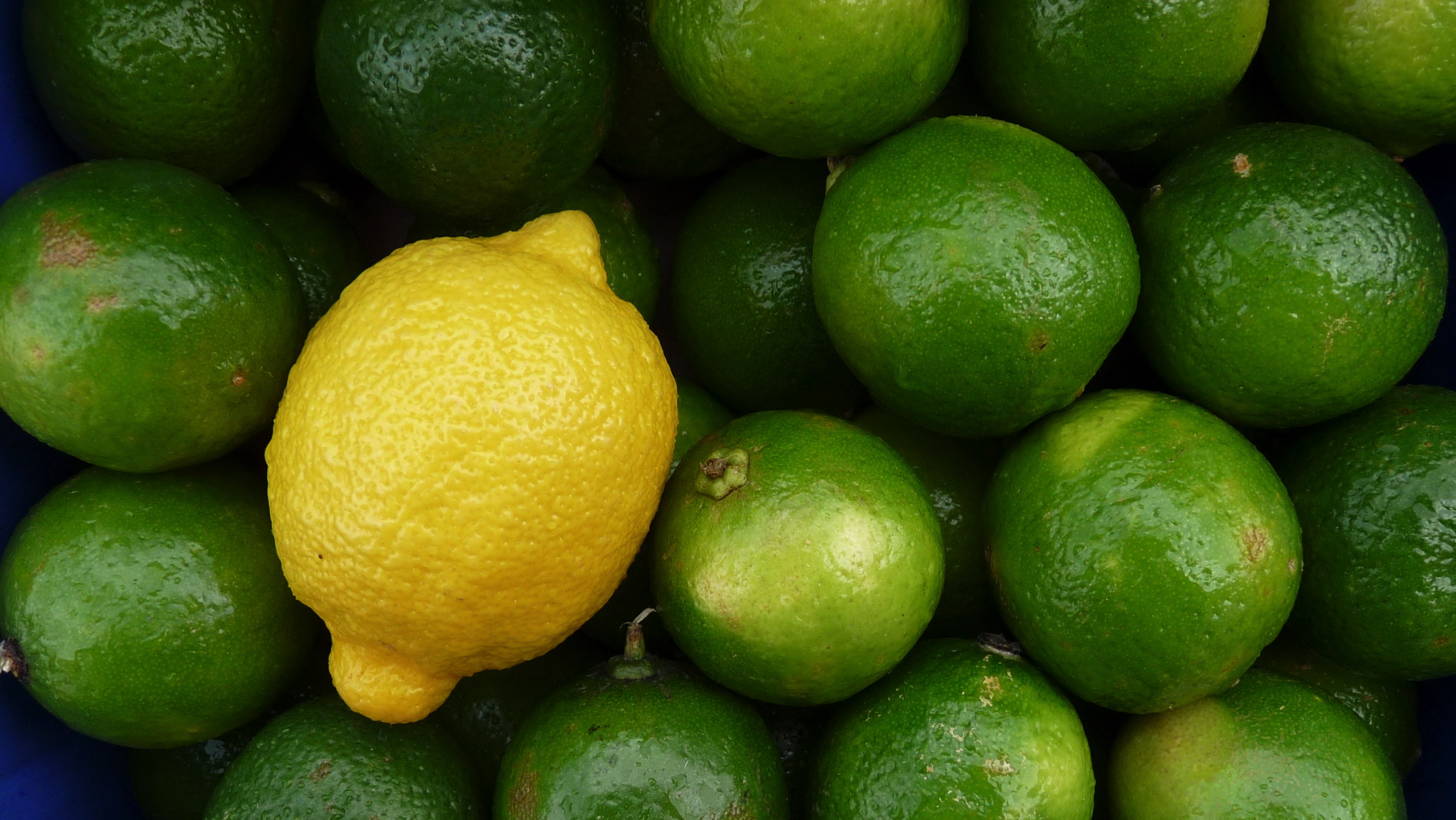 Why are lemons yellow and limes green? - BBC Science Focus Magazine