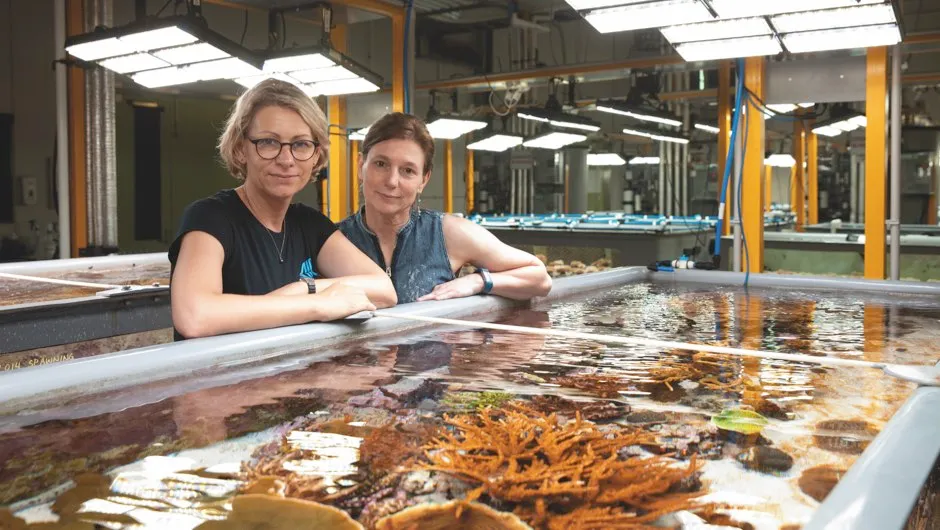 Prof Madeleine van Oppen (right) and Line Bay are creating tougher corals that could cope with changing ocean conditions © Cameron Laird