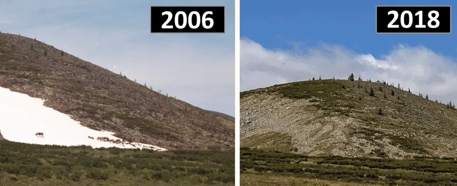 Image of a persistent snow and ice patch in Mengebulag taken in 2006, showing domestic reindeer using the patch, and (right); the same patch in 2018, which local residents indicated had melted for the very first time (Taylor et al 2019)