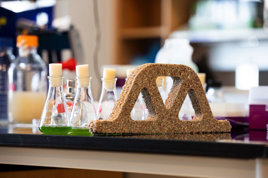 Рост и минерализация бактерий в песчано-гидрогелевой структуре © Университет Колорадо, Боулдер/Пенсильвания