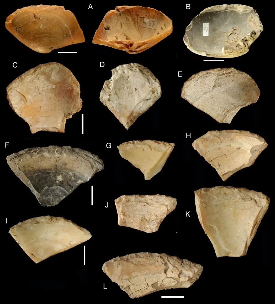 Seashells collected by Neanderthals © Villa et al 2020/PA