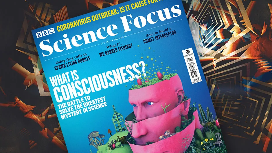 What is consciousness? - BBC Science Focus Magazine