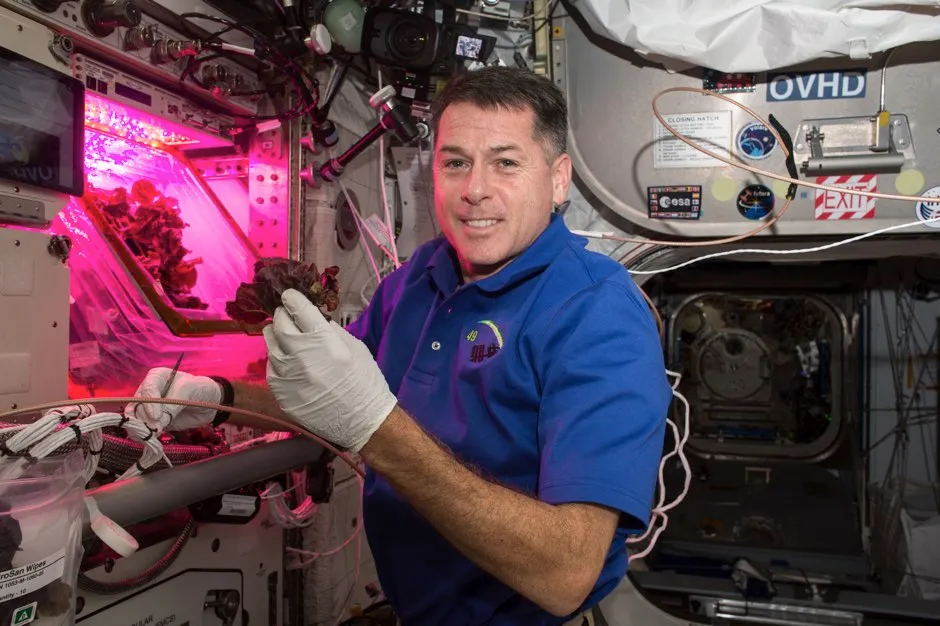 Astronaut Shane Kimbrough in front of the 'Veggie' chamber on the ISS in November 2016 © NASA