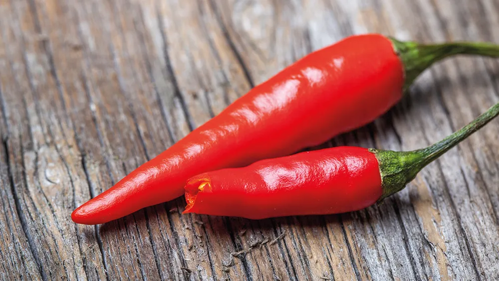Capsaicin in chillies binds to heat receptors in your mouth, which is why spicy food burns © Getty Images