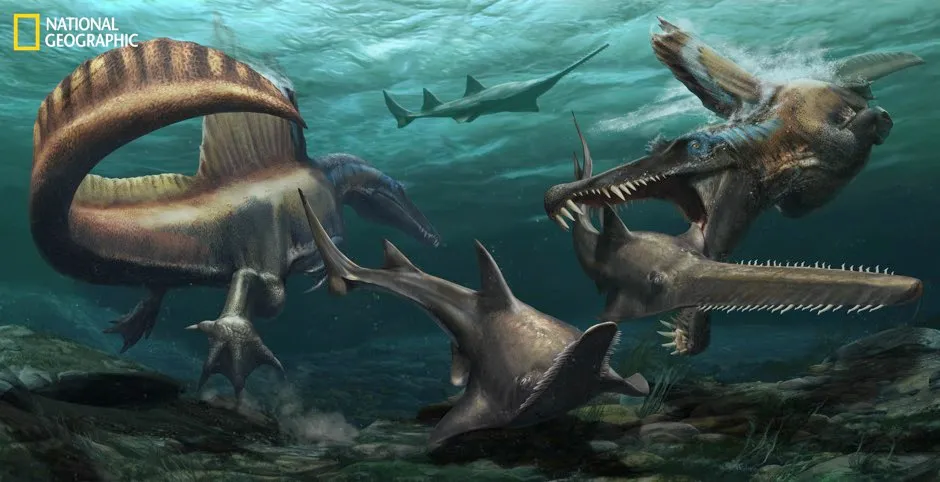 'River monster' first known dinosaur to have lived in water (Two Spinosaurus hunt Onchopristis, a prehistoric sawfish, in the waters of the Kem Kem river system in what is now Morocco © Jason Treat, NG Staff, and Mesa Schumacher Art: Davide Bonadonna Source: Dr. Nizar Ibrahim, University of Detroit Mercy)