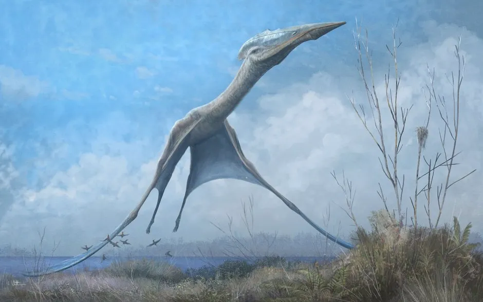 A giant pterosaur © Mark Witton:Trends in Ecology and Evolution/PA