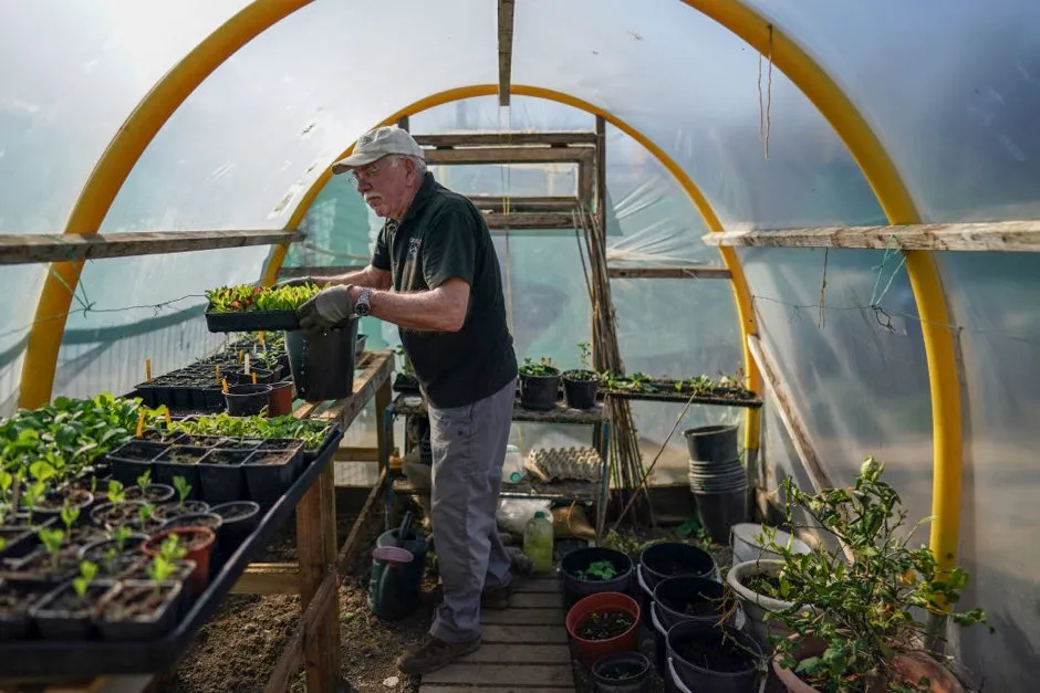 Brian Ridsdale inspects his seed trays as he tends to his allotment and follows government guidelines on social distancing and time restrictions in Saltburn By The Sea, United Kingdom © Ian Forsyth/Getty Images