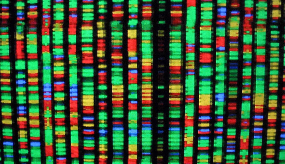 A digital representation of the human genome © Getty Images