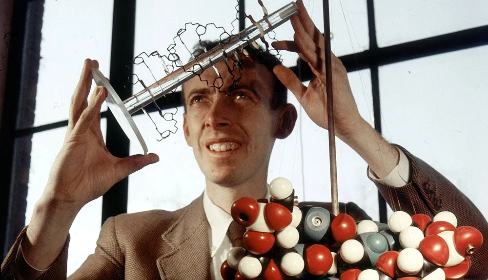 Pioneer geneticist biologist James Watson with a molecular model of DNA, 1957 © Getty Images)