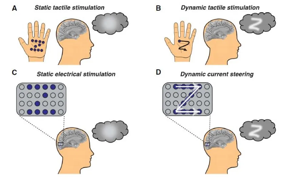 This figure illustrates how dynamic stimulation to the visual cortex enables participants to 'see' shapes © Beauchamp et al./Cell