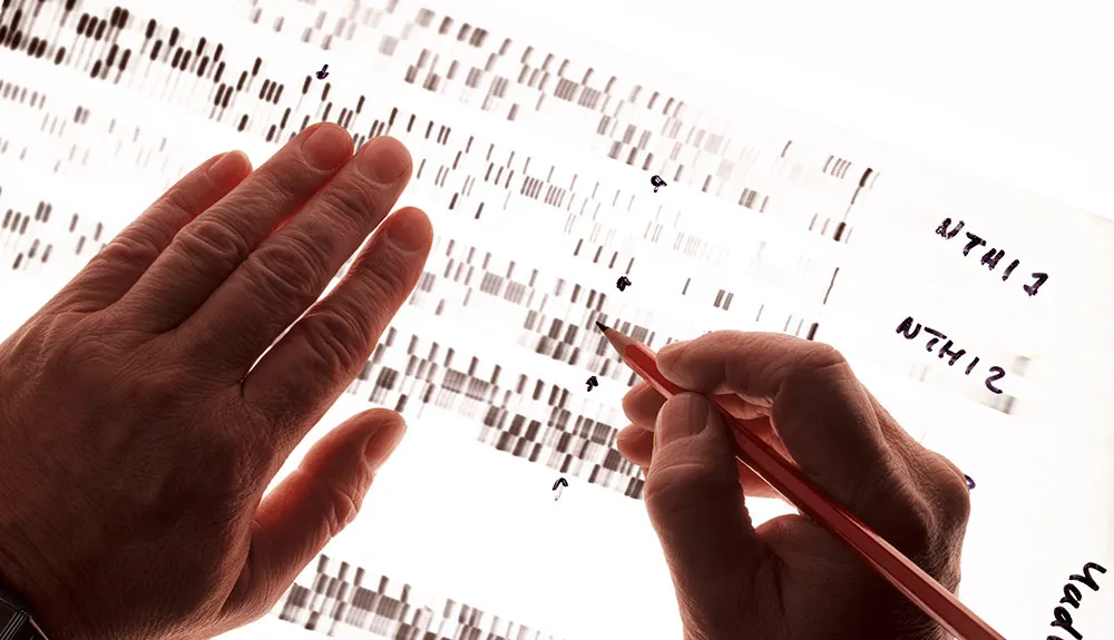 Criminologist studying a human DNA sequence © Getty Images