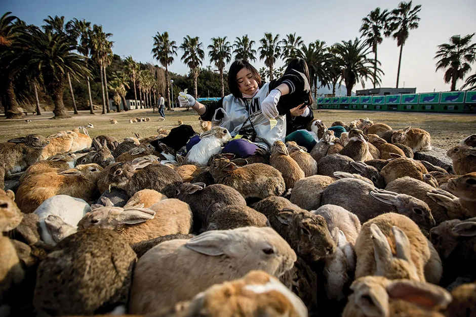 Bunny bonanza © Getty Images