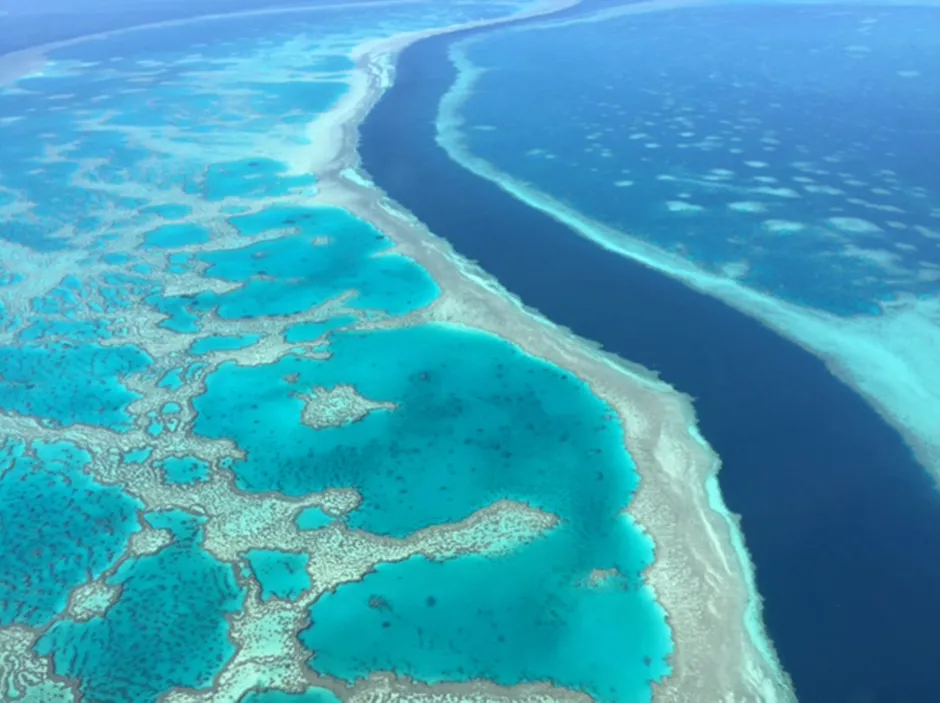 Hardy Reef in Queensland, Australia, showing healthy corals © The Commonwealth Scientific and Industrial Research Organisation