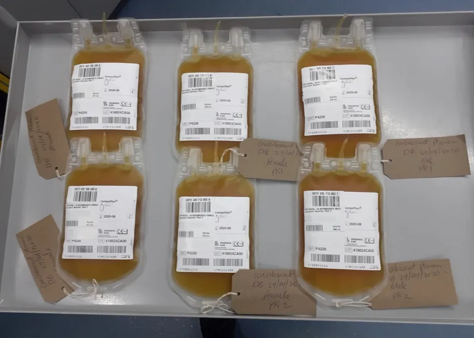 Bags of plasma ready for hospital use © NHS Blood and Transplant/PA