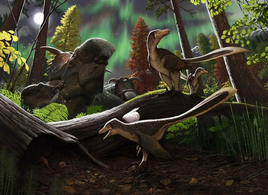Dromaeosaurid dinosaurs not only lived in the Arctic 'but thrived there' (An artist impression of dromaeosaurid dinosaurs © Andrey Atuchin/Plos One))