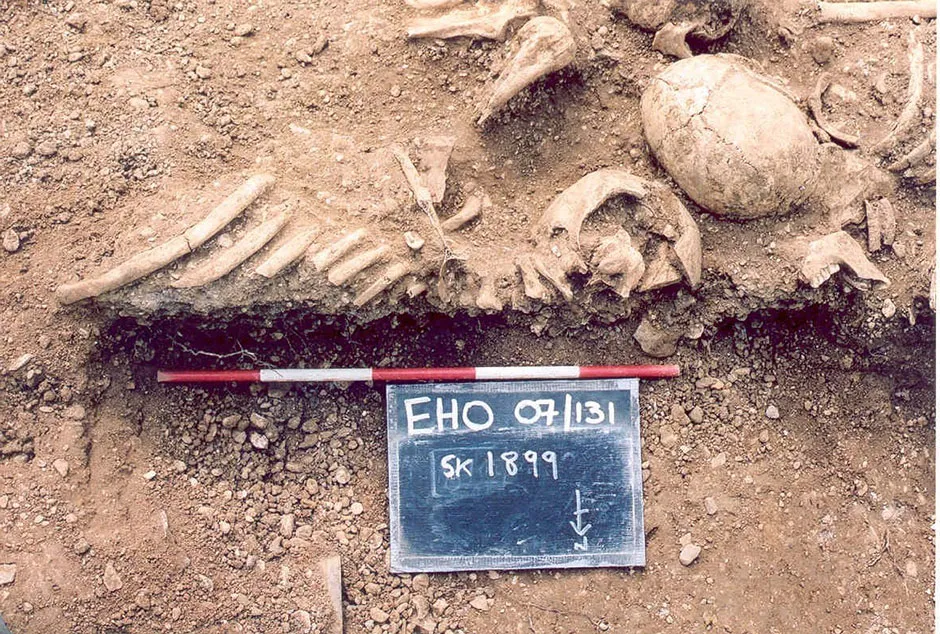 Massacred 10th century Vikings found in a mass grave at St John’s College, Oxford © Thames Valley Archaeological Services